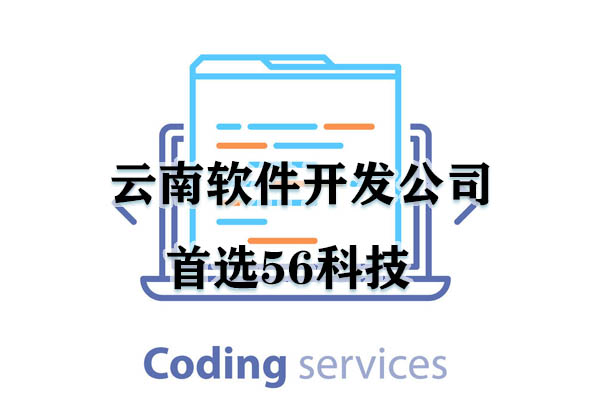 云南软件开发公司首选56科技