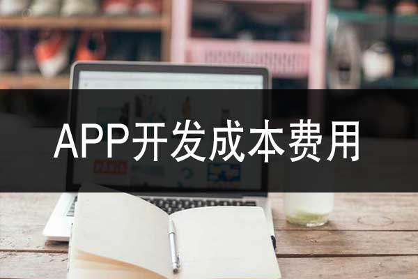 云南app软件开发的成本是多少