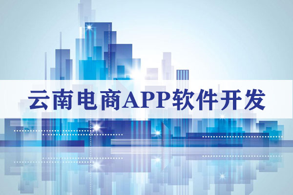云南电商APP软件开发解决方案