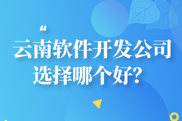 云南软件开发公司选择哪个好？
